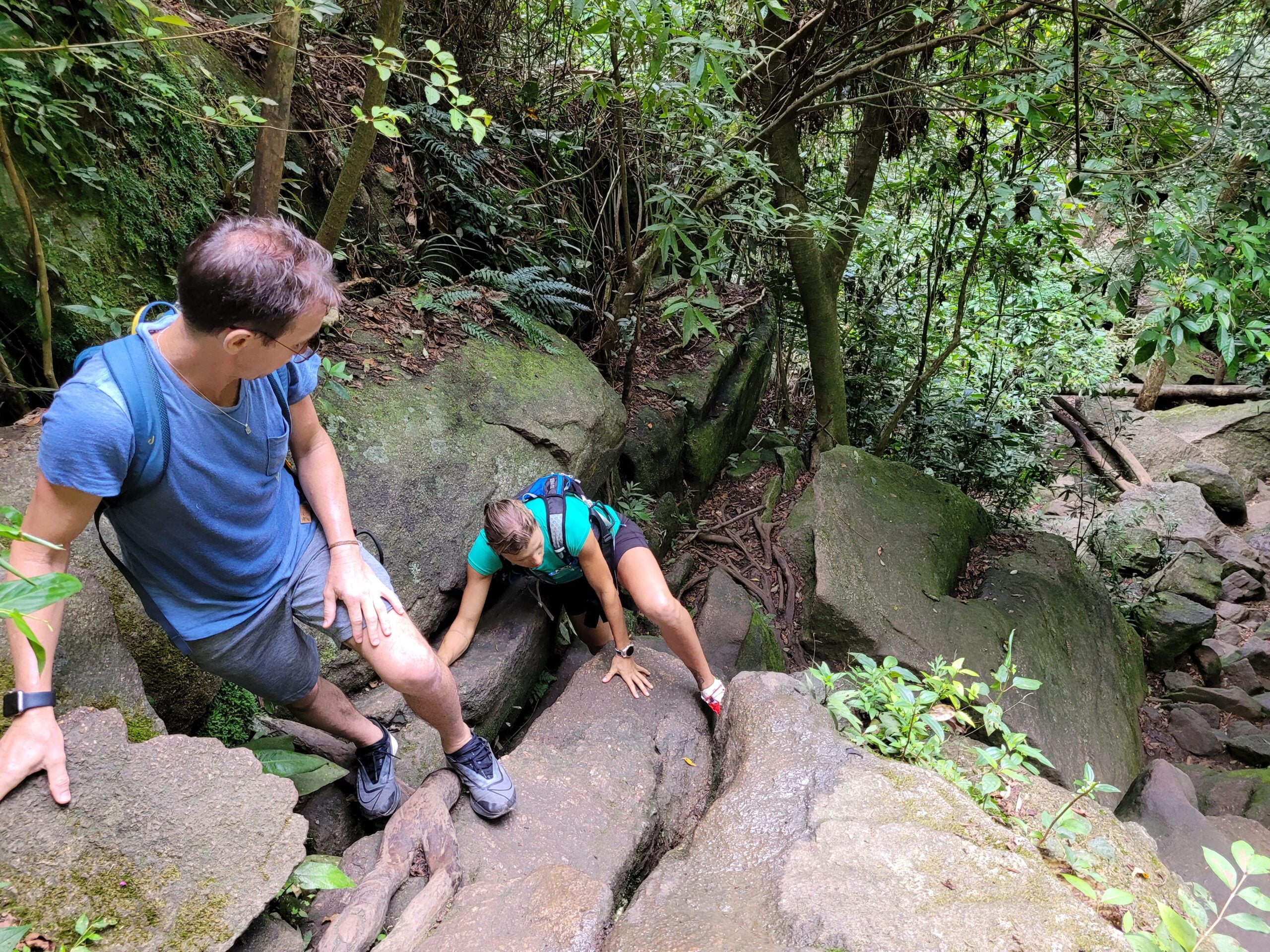 Trilha da Pedra da Gávea - Trepa-pedra 01